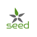 seedstaffing.com