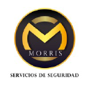 seguridadmorris.com
