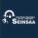 seinsaa.com