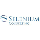 selenium-consulting.com