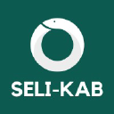 selikab.com