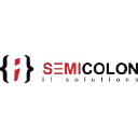 Semicolonit