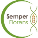 semper-florens.nl