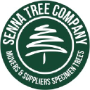 Senna Tree Company Logo