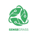 Sensegrass