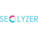 Seolyzer logo