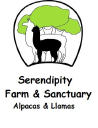 Serendipity Farm Alpacas & Llamas