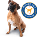 Service Dogs