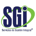 sgi-consulting.com