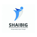 shaibiginfosystem.com