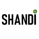 shandiglobal.com