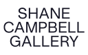 Shane Campbell Gallery