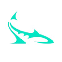 sharkdesign.com