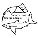 sharks.org.il