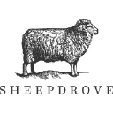 sheepdrove.com
