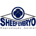 sheepembryo.com.br