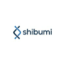 shibumi-consulting.net