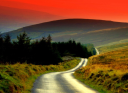 Blissful Road LLC