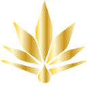 Bloom & Blaze Logo