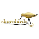 shorebirds.com.au