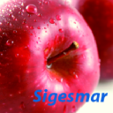 sigesmar.com