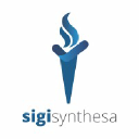 sigisynthesa.com