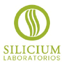 siliciumg5.com