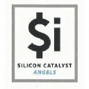 siliconcatalystangels.com