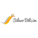 silverbilisim.com