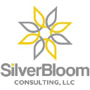 silverbloomconsulting.com