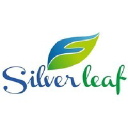 Silver Leaf Solutions logo