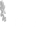 Silver Oak Transportation LLC