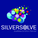 silversolve.com