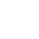 Silverstar Automotive Solutions logo