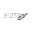 silvertiptechnology.com