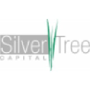 silvertreecapital.com