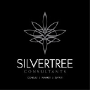 silvertreeconsultants.com