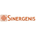 sinergenis.com