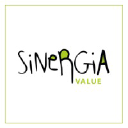 sinergiavalue.com