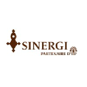 sinerginiger.com