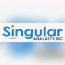 singularanalysts.com