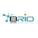 siric-brio.com
