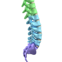 Spine & Joint Solutions PLLC