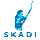 skadilimited.com
