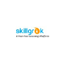skillgrok.com