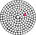 Skin2Neuron