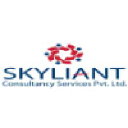 skyliant.com