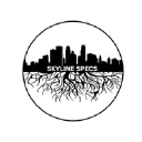 skylinespecs.com