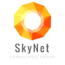 skynetconsultinggroup.com