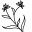 Slaraa